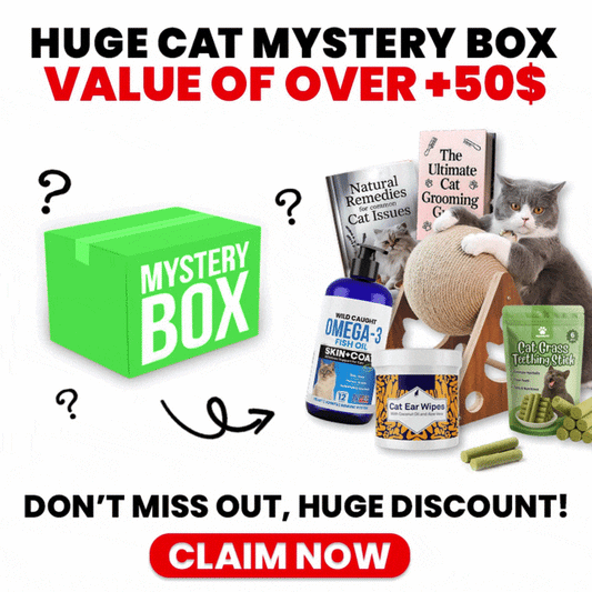 Huge Cat Mystery Box ($50+ VALUE)
