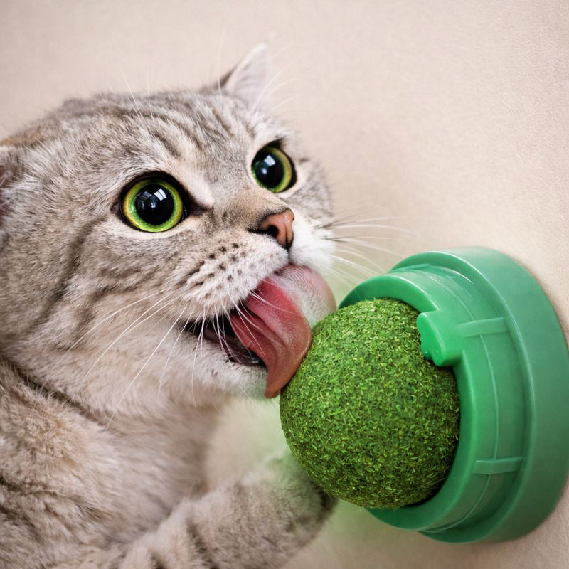 Meowlys™ Catnip Ball Roller