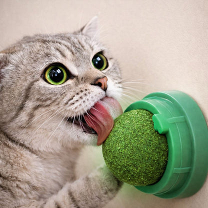 Meowlys™ Catnip Ball Roller