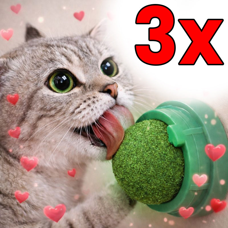 Meowlys™ Catnip Ball Roller (3 pack)