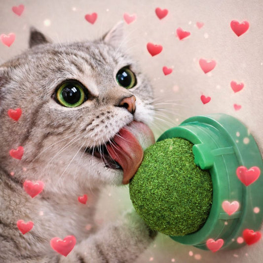 Meowlys™ Catnip Ball Roller