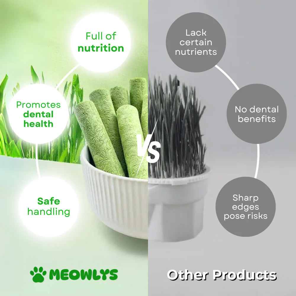 Cat Grass Teething Sticks (Free Today)