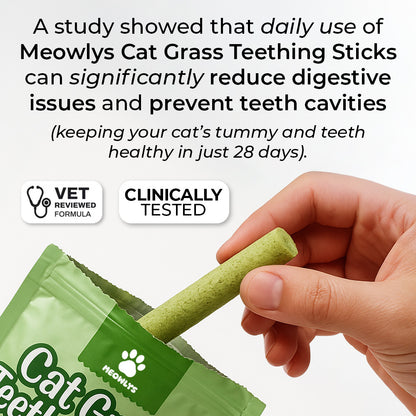 Cat Grass Teething Sticks [Free Today]
