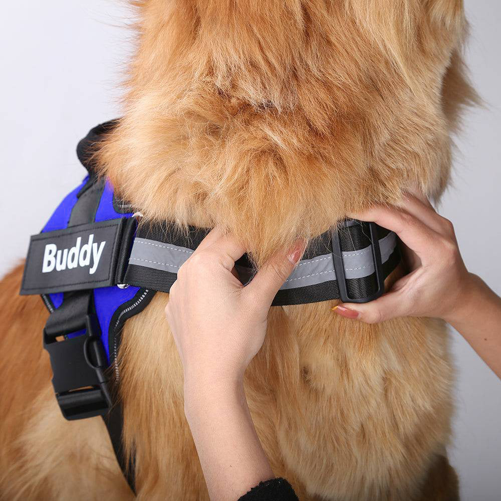 ThePupperly Pup Harness™ [Free Today]