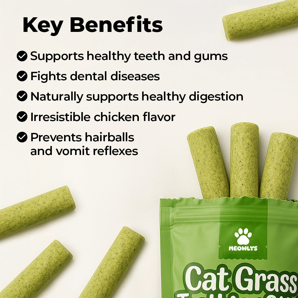Cat Grass Teething Sticks [Free Today]