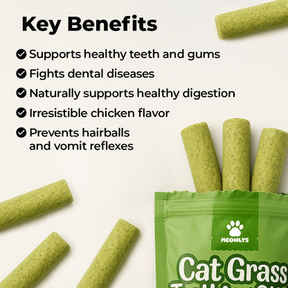 Cat Grass Teething Sticks [Free Today]