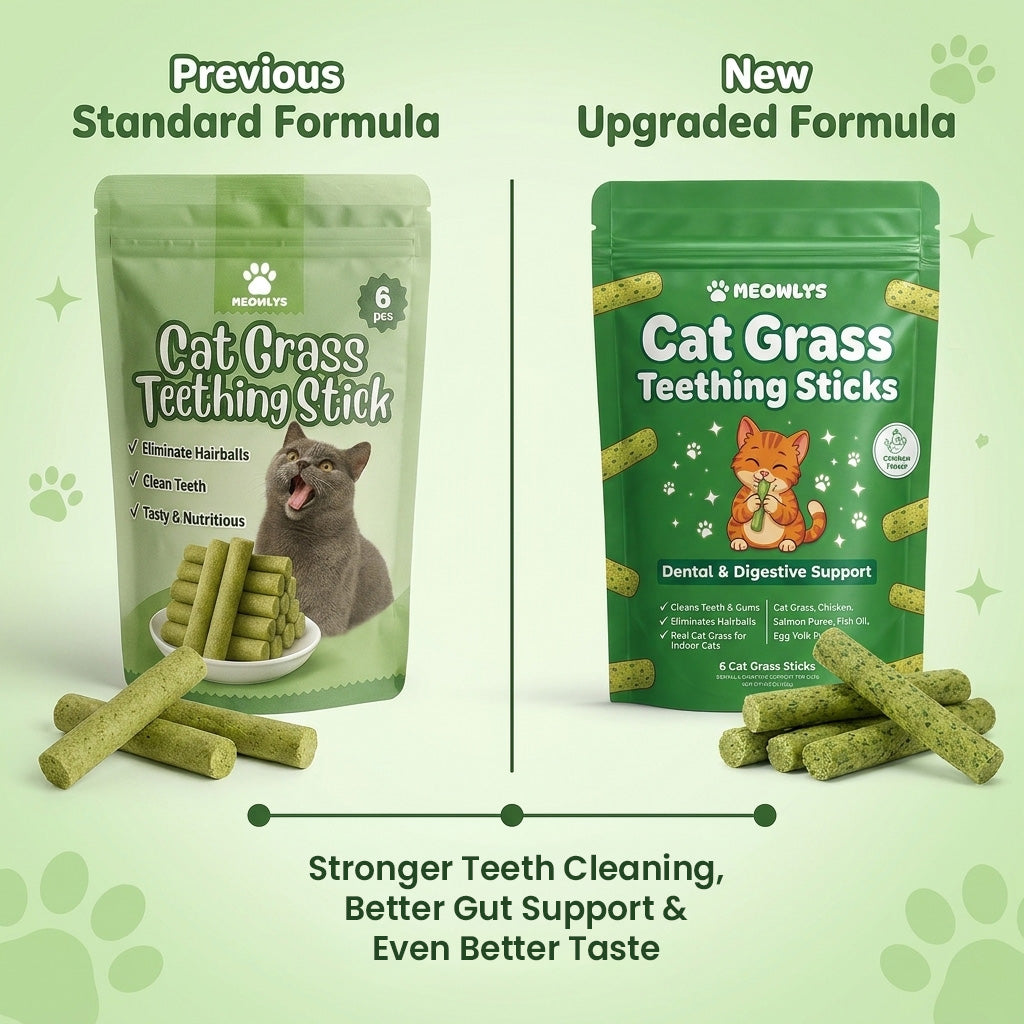 Cat Grass Teething Sticks (Free Today)
