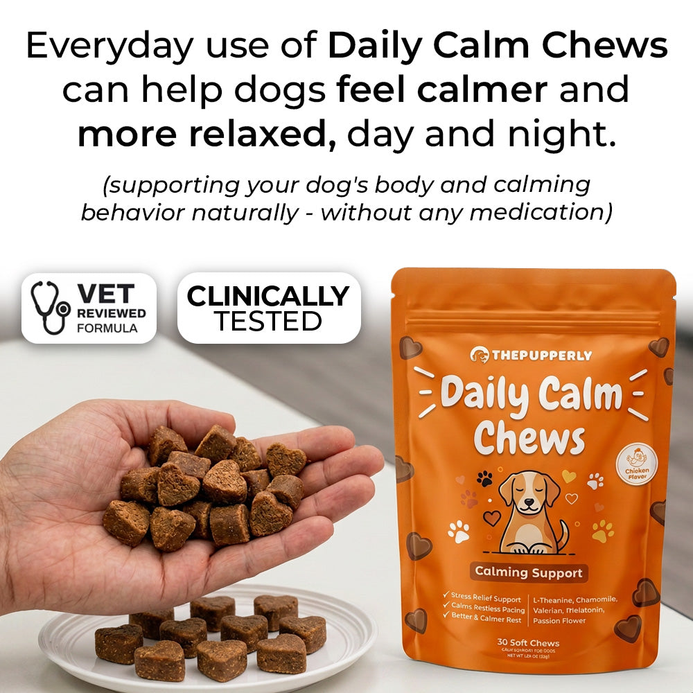 Daily Calm Chews [Free Today]