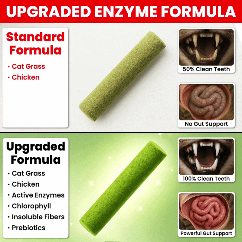 Upgrade To Premium Enzyme Formula (All Packs)