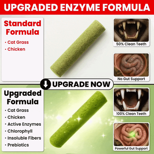 Upgrade To Premium Enzyme Formula (All Packs)