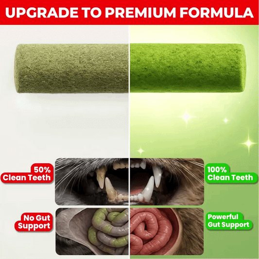 Upgrade To Premium Enzyme Formula (All Packs)
