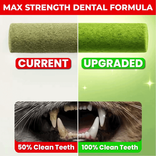 Upgrade To Max Strength Dental Formula (All Packs)