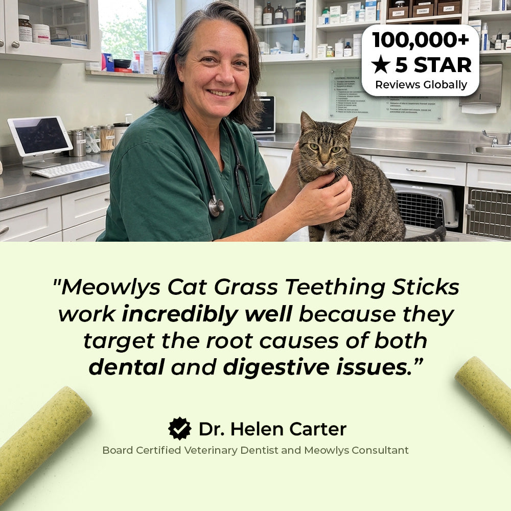 Cat Grass Teething Sticks (Free Today)