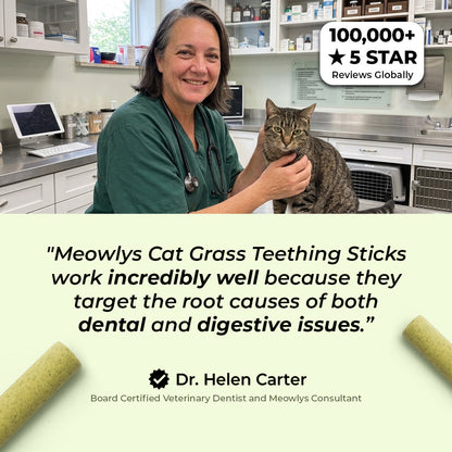 Cat Grass Teething Sticks (Free Today)