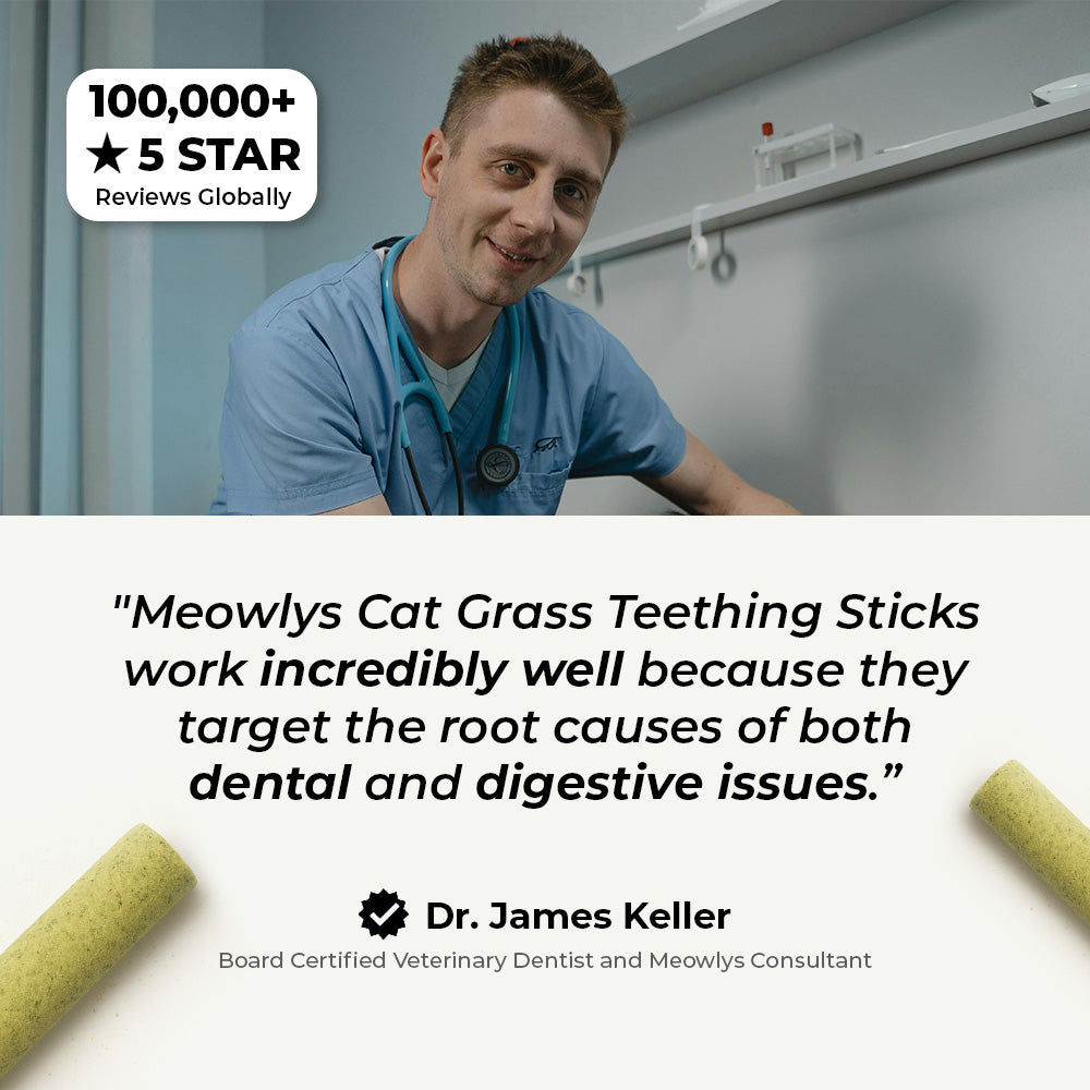 Cat Grass Teething Sticks [Free Today]