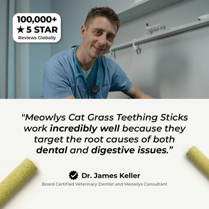 Cat Grass Teething Sticks [Free Today]
