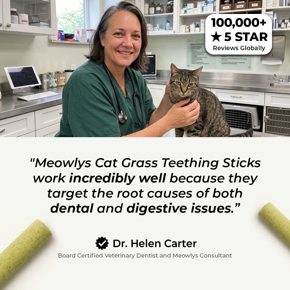 Cat Grass Teething Sticks (Free Today)